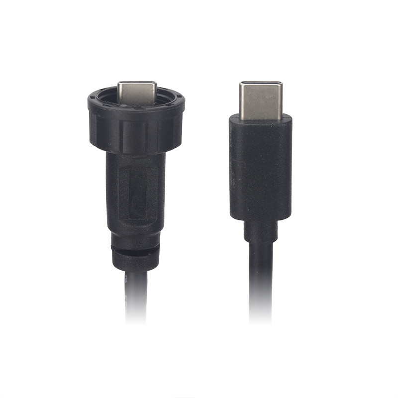 Type-c molded cable connector